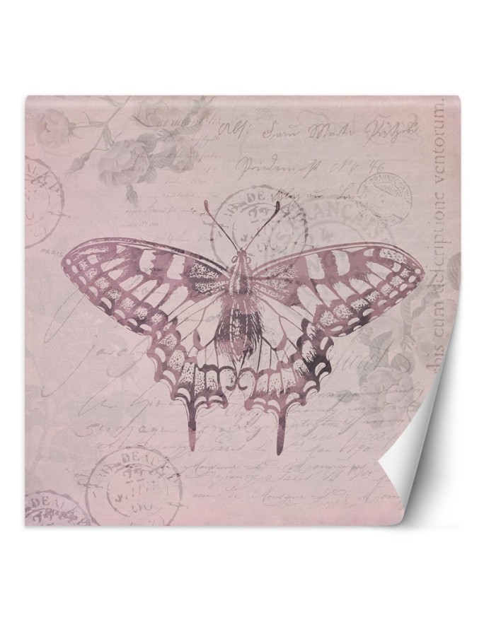 Most fashionable Wallpapers - Butterfly on pink background Andrea Haase | FEEBY