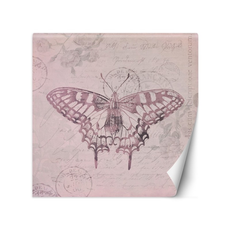 Most fashionable Wallpapers - Butterfly on pink background Andrea Haase | FEEBY