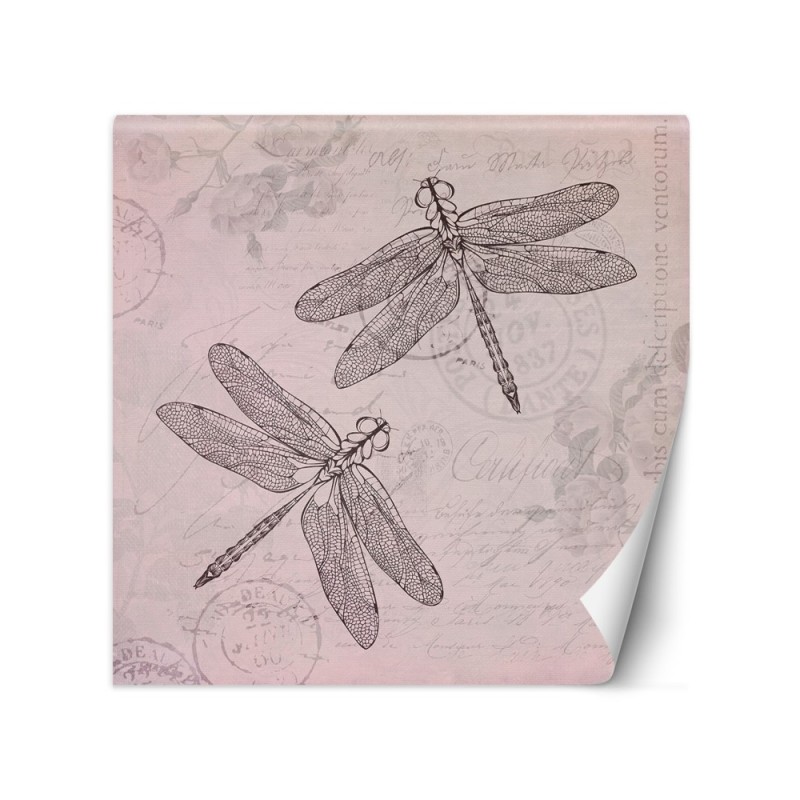 Designer Wallpaper - Dragonfly on pink background Andrea Haase | FEEBY