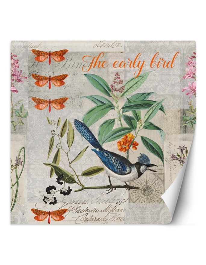 Wall mural - Blue bird on green branch Andrea Haase | FEEBY