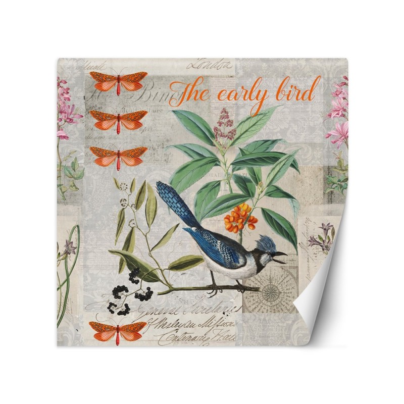 Wall mural - Blue bird on green branch Andrea Haase | FEEBY