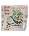 Wall mural - Blue bird on green branch Andrea Haase | FEEBY
