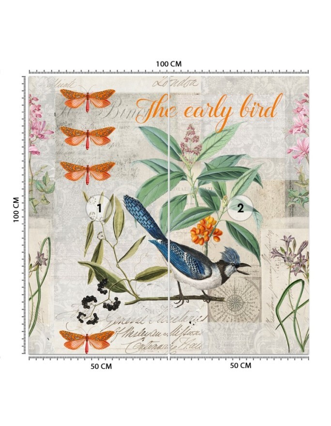 Wall mural - Blue bird on green branch Andrea Haase | FEEBY