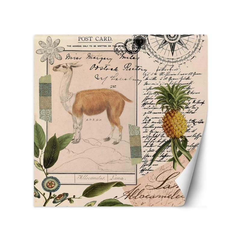 Wall mural - Lama nature abstract tropical Andrea Haase | FEEBY