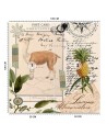 Wall mural - Lama nature abstract tropical Andrea Haase | FEEBY