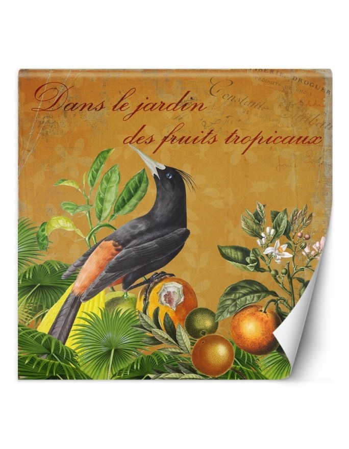 Exotic wall mural - Bird sentiment lettering Andrea Haase | FEEBY