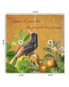 Exotic wall mural - Bird sentiment lettering Andrea Haase | FEEBY