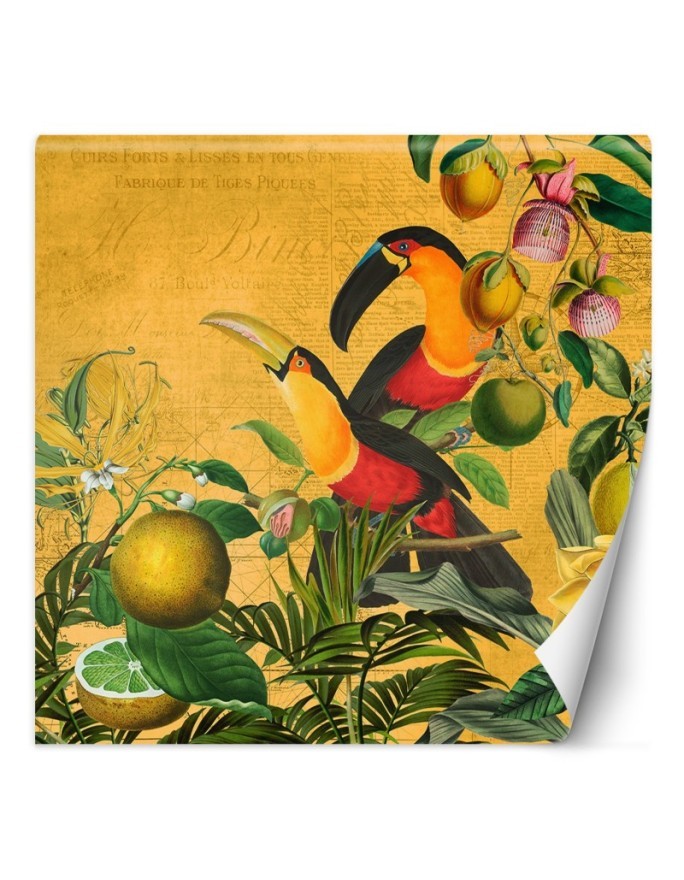 Wall mural - Parrots in leaves abstract animals Andrea Haase | FEEBY