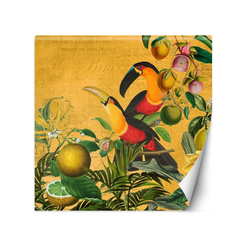 Wall mural - Parrots in leaves abstract animals Andrea Haase | FEEBY