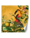 Wall mural - Parrots in leaves abstract animals Andrea Haase | FEEBY