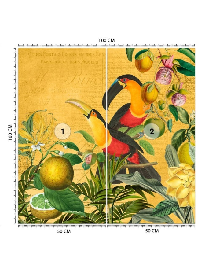 Wall mural - Parrots in leaves abstract animals Andrea Haase | FEEBY
