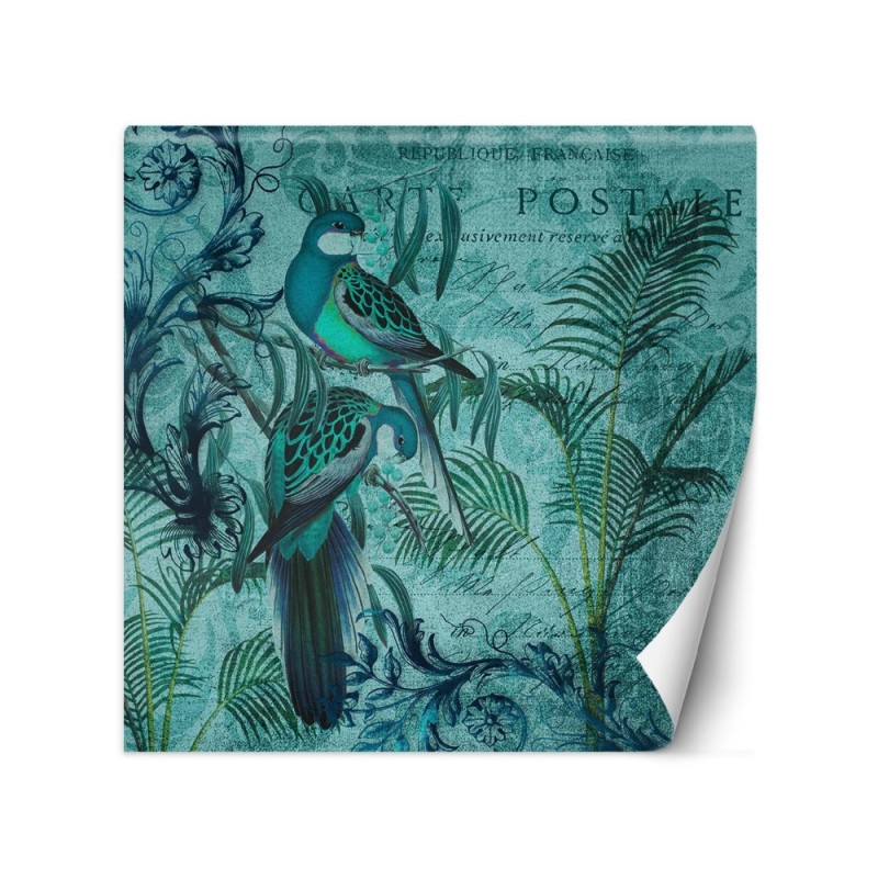 Wall mural - Exotic birds on branches Andrea Haase | FEEBY