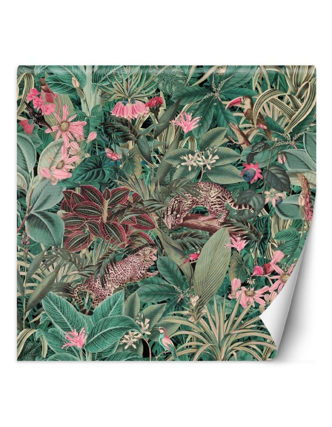 Inspirational wall murals - Exotic animals nature Andrea Haase | FEEBY