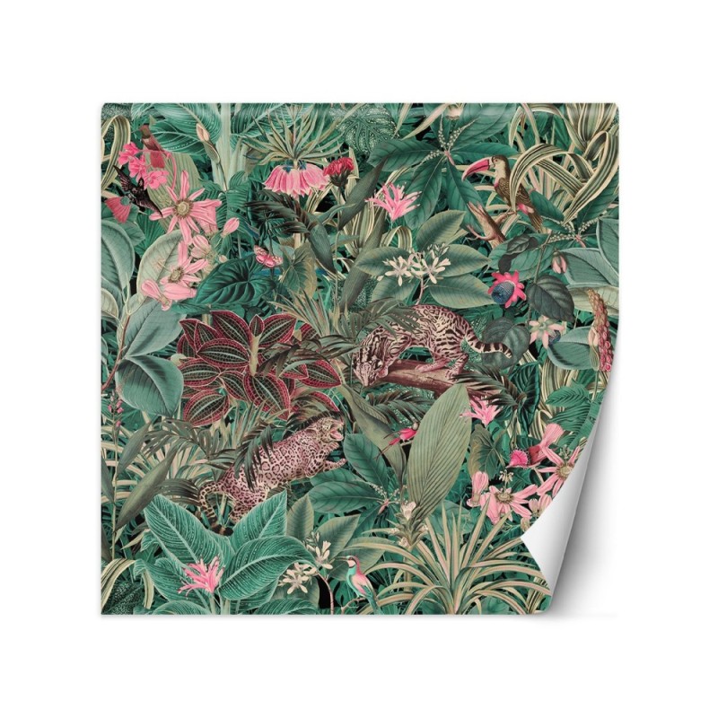Inspirational wall murals - Exotic animals nature Andrea Haase | FEEBY