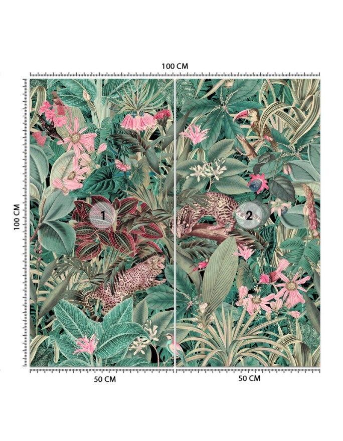 Inspirational wall murals - Exotic animals nature Andrea Haase | FEEBY