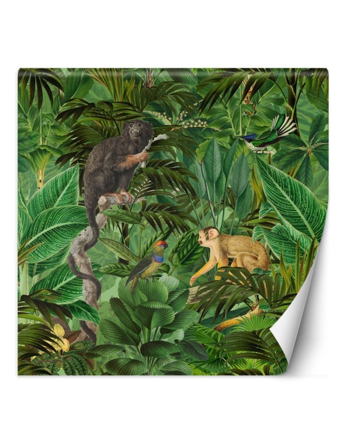 Most fashionable wall murals - Monkeys in the jungle Andrea Haase | FEEBY