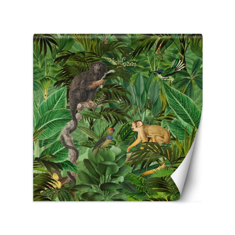 Most fashionable wall murals - Monkeys in the jungle Andrea Haase | FEEBY