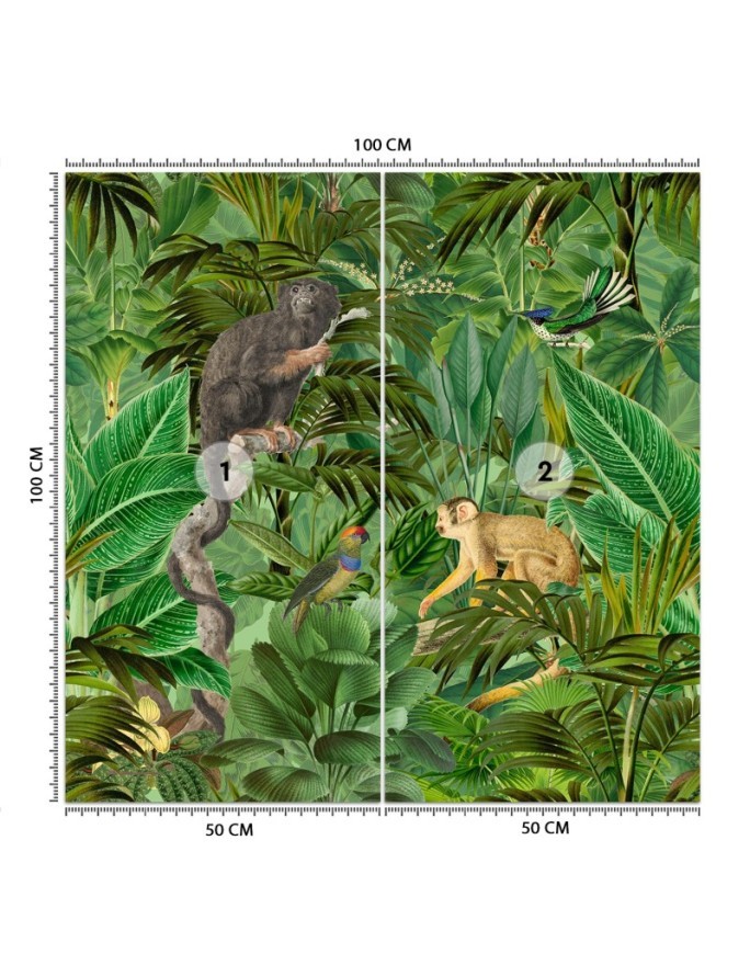 Most fashionable wall murals - Monkeys in the jungle Andrea Haase | FEEBY