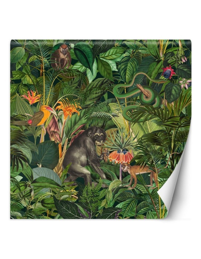 Beautiful wall murals - Jungle animals green leaves Andrea Haase | FEEBY