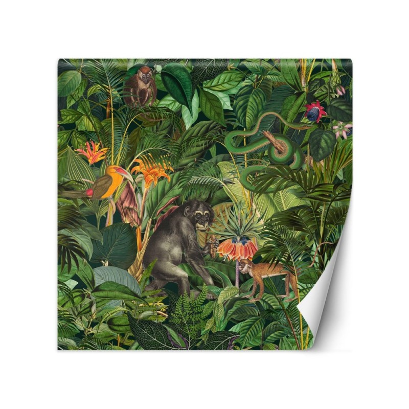 Beautiful wall murals - Jungle animals green leaves Andrea Haase | FEEBY