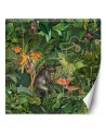 Beautiful wall murals - Jungle animals green leaves Andrea Haase | FEEBY