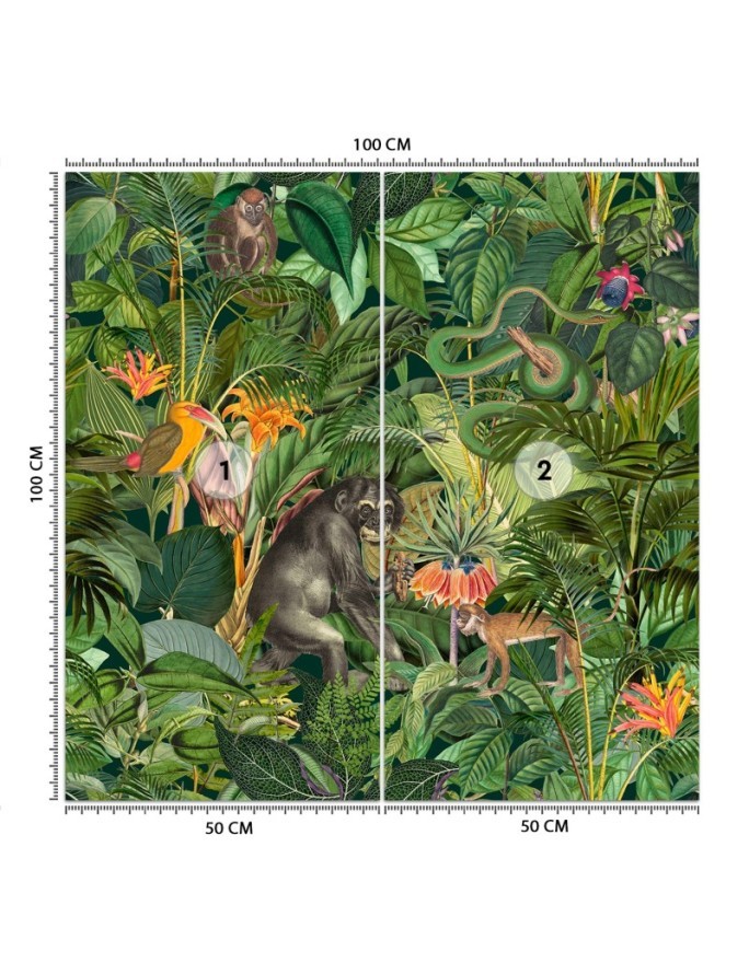 Beautiful wall murals - Jungle animals green leaves Andrea Haase | FEEBY