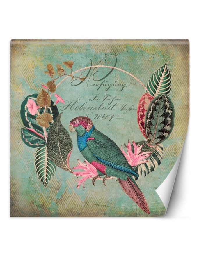 Exotic wall murals - Birds green abstract Andrea Haase | FEEBY