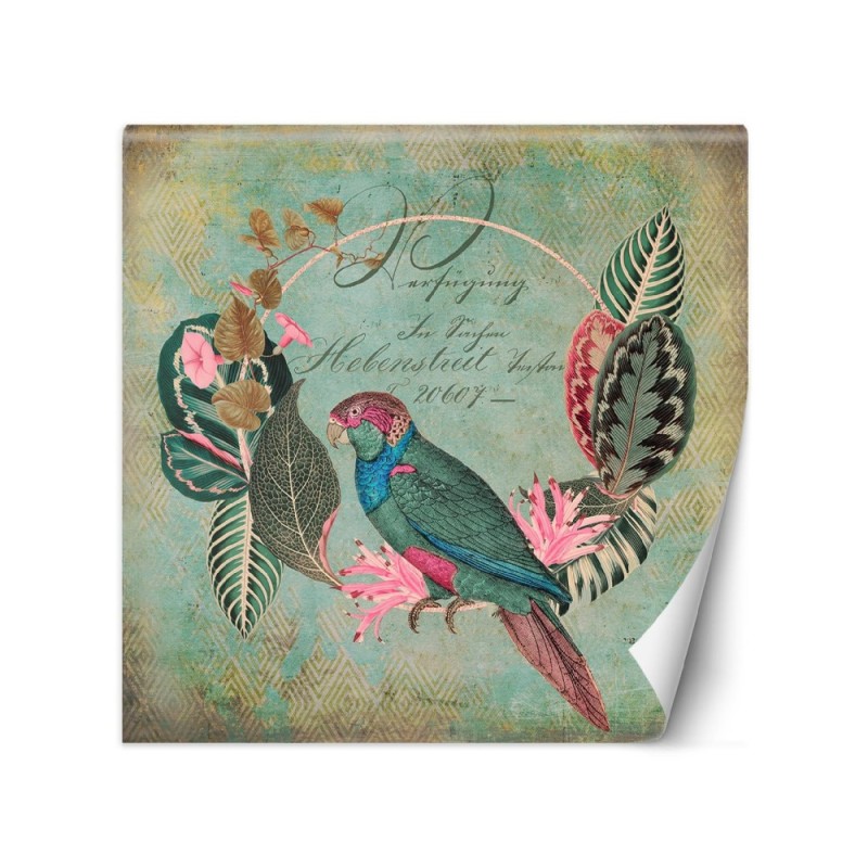 Exotic wall murals - Birds green abstract Andrea Haase | FEEBY