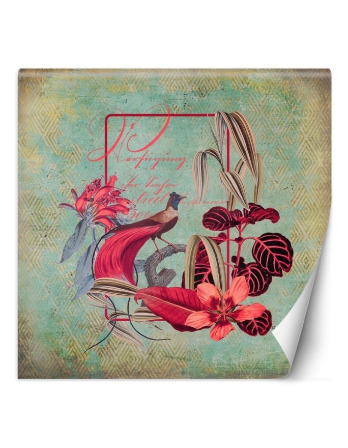 Exotic wall mural - Green red abstraction Andrea Haase | FEEBY
