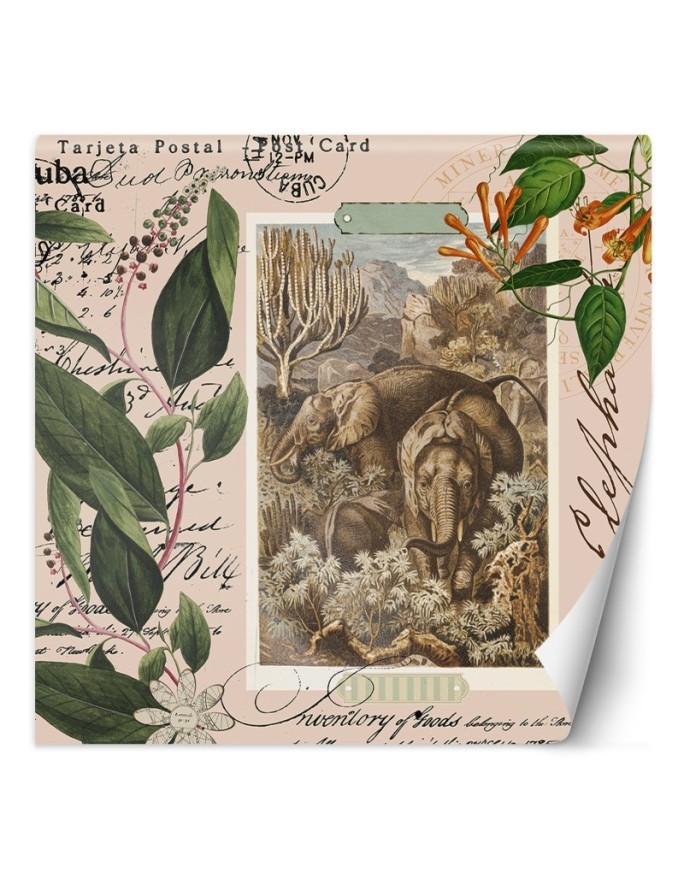Fashionable wall mural - Beige abstract animals Andrea Haase | FEEBY