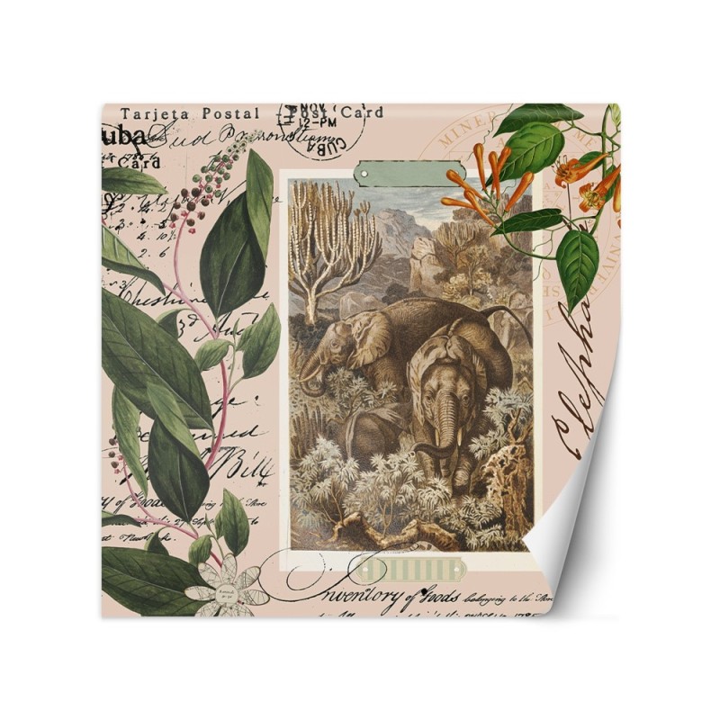 Fashionable wall mural - Beige abstract animals Andrea Haase | FEEBY
