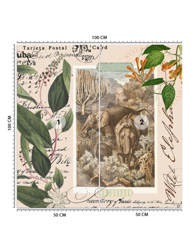 Fashionable wall mural - Beige abstract animals Andrea Haase | FEEBY