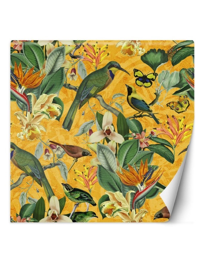 Wall mural - Tropical abstraction birds on a branch Andrea Haase | FEEBY