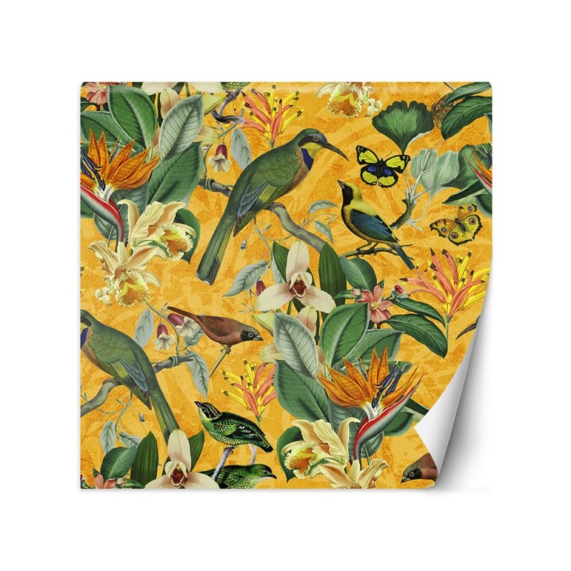 Wall mural - Tropical abstraction birds on a branch Andrea Haase | FEEBY