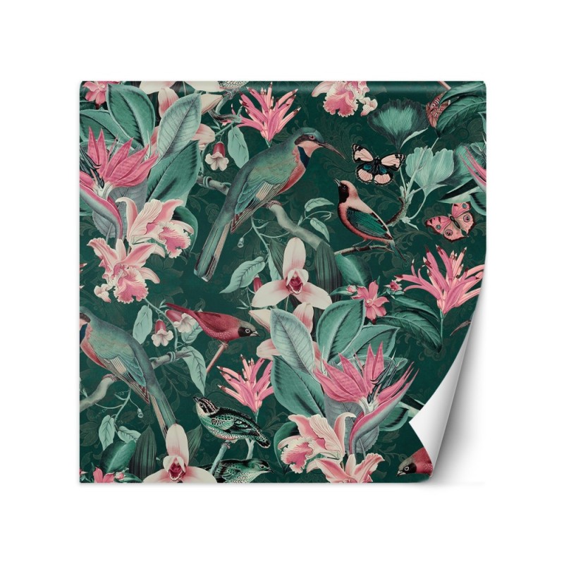 Original wall mural - Tropical abstraction birds animals Andrea Haase | FEEBY