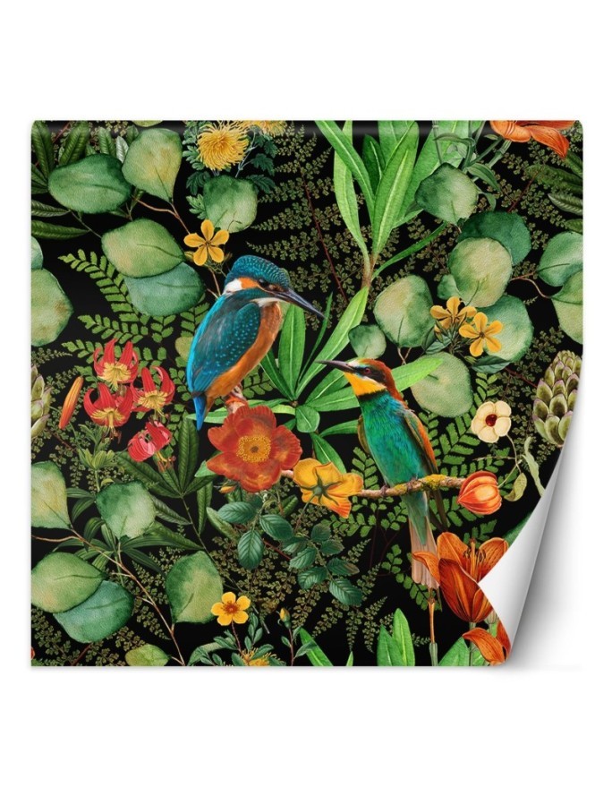 Exotic wall mural - Jungle birds on green background Andrea Haase | FEEBY