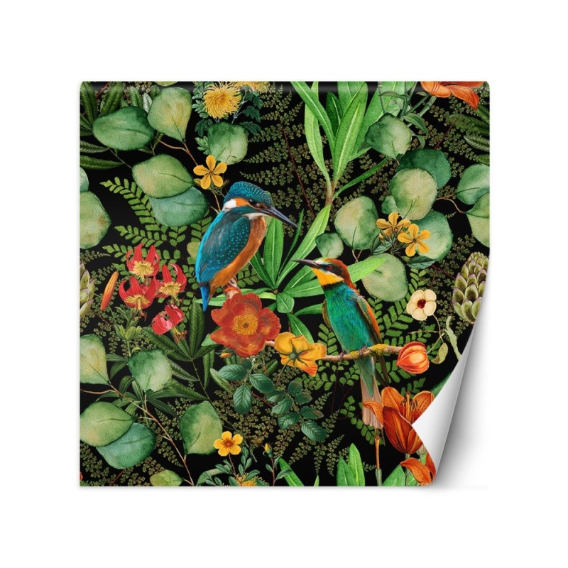 Exotic wall mural - Jungle birds on green background Andrea Haase | FEEBY