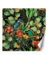 Exotic wall mural - Jungle birds on green background Andrea Haase | FEEBY