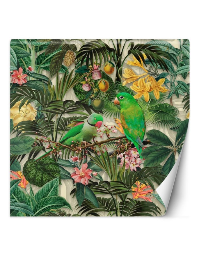 Wall mural - Jungle birds on green background abstract Andrea Haase | FEEBY