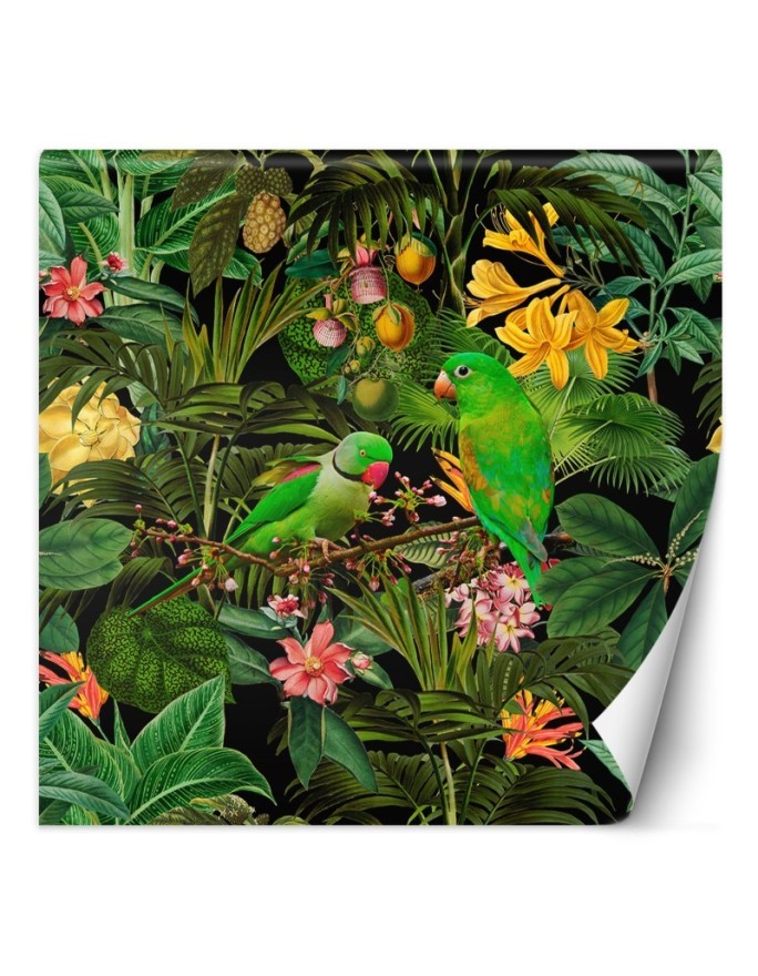 Wallpaper - Jungle birds on green background abstract Andrea Haase | FEEBY