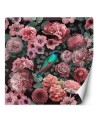 Stylish wall mural - Flowers roses pink bird nature Andrea Haase | FEEBY