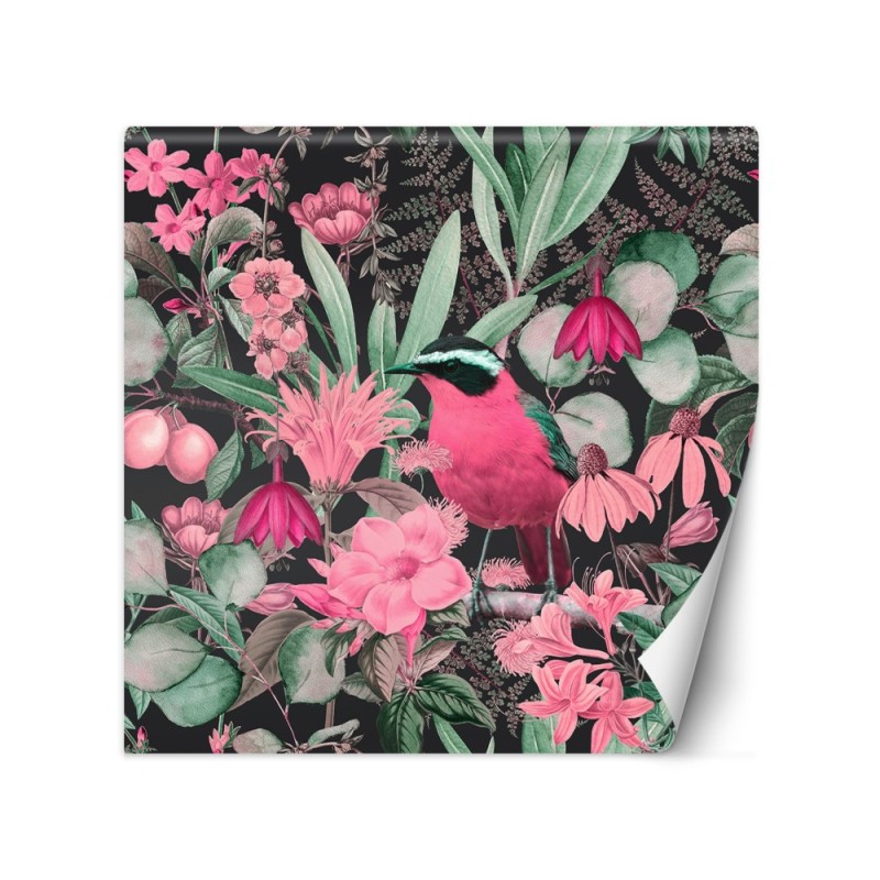 Wall mural - Colourful bird leaves flowers nature Andrea Haase | FEEBY