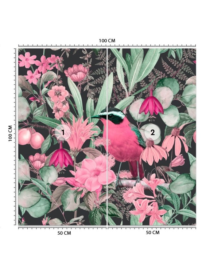 Wall mural - Colourful bird leaves flowers nature Andrea Haase | FEEBY