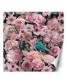 Wallpaper - Blue bird against a background of pink roses Andrea Haase | FEEBY