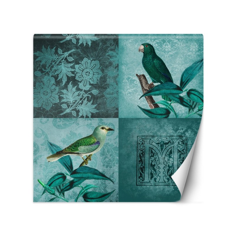 Exclusive wall murals - Birds on a branch Andrea Haase | FEEBY