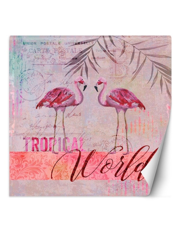 Designer wall murals - Pink flamingos animals Andrea Haase | FEEBY