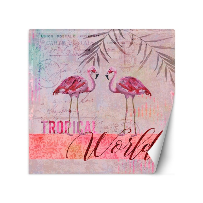 Designer wall murals - Pink flamingos animals Andrea Haase | FEEBY
