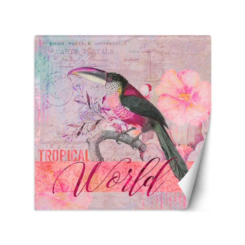 Inspirational wall murals - Parrot in pink shades nature Andrea Haase | FEEBY