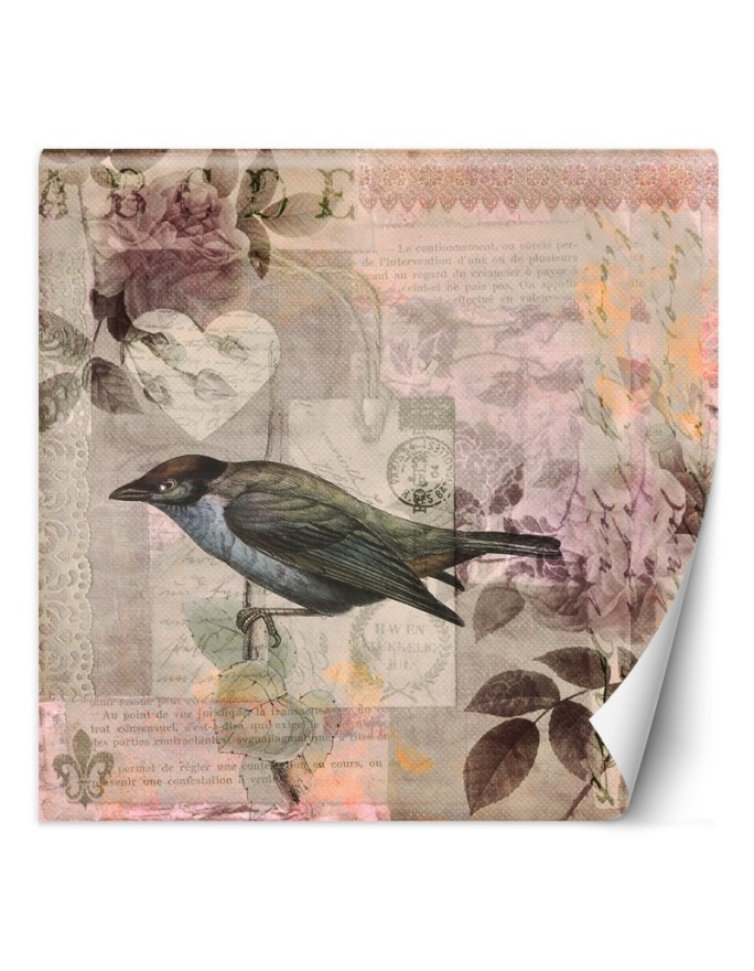 Stylish wall murals - Bird on pink background Andrea Haase | FEEBY