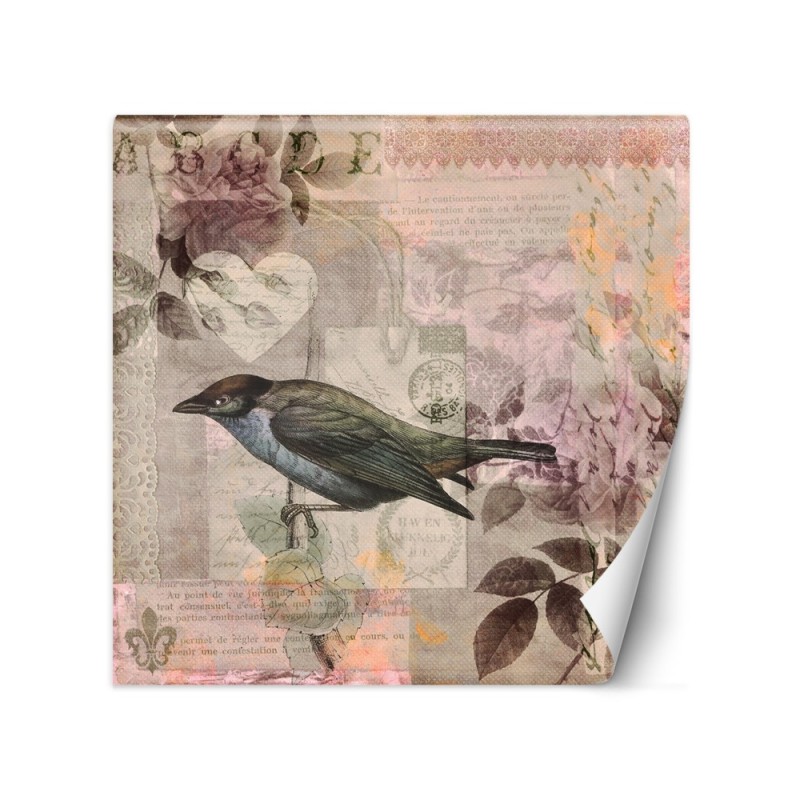 Stylish wall murals - Bird on pink background Andrea Haase | FEEBY